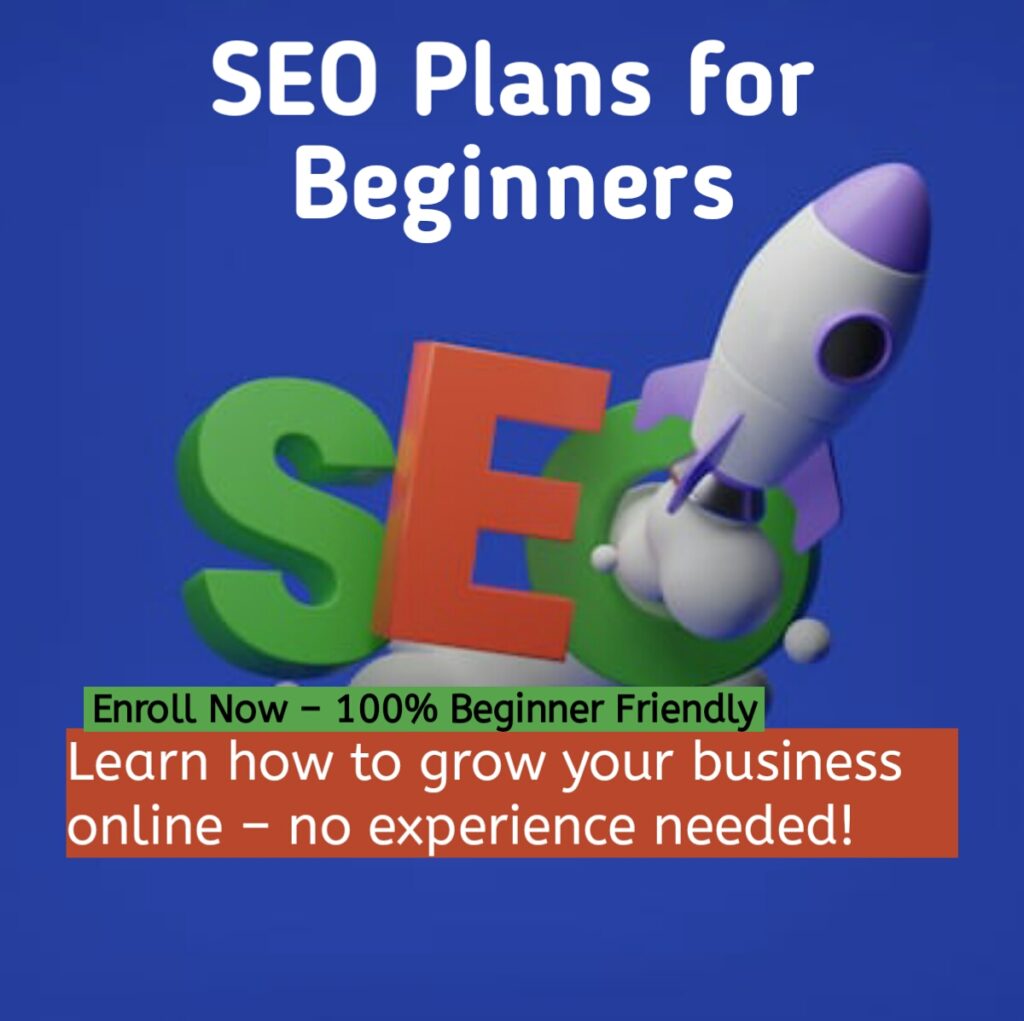 SEO Plans for Beginners