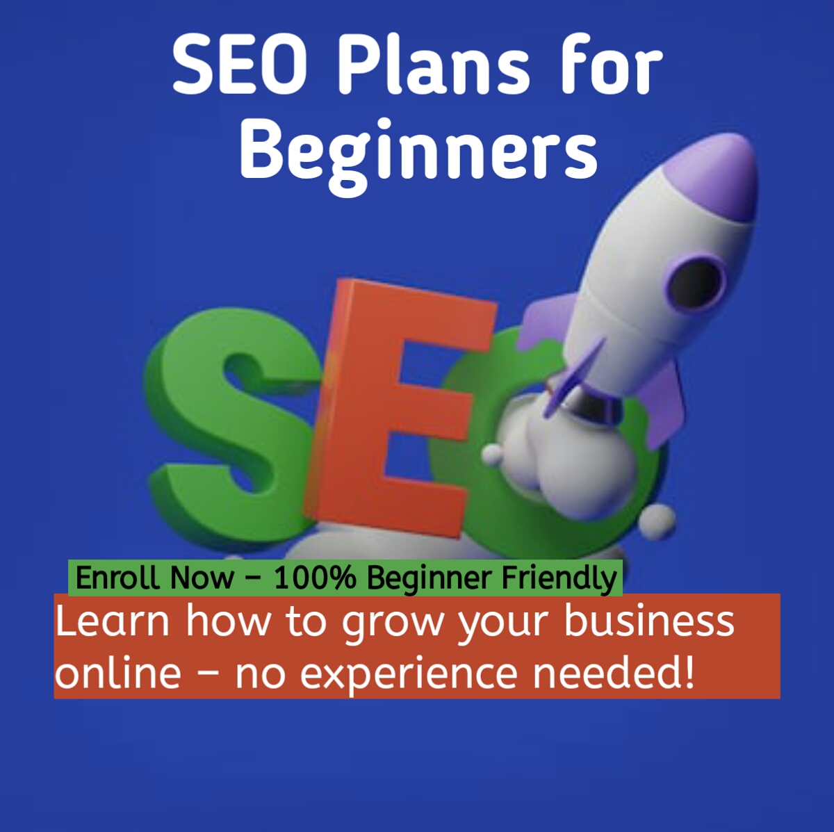 SEO Plans for Beginners